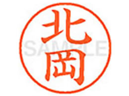 �V���`�n�^ XL-9(�k��)