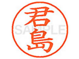 �V���`�n�^ XL-9(�N��)