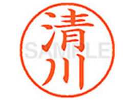 �V���`�n�^ XL-9(����)