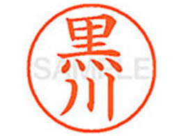 �V���`�n�^ XL-9(����)