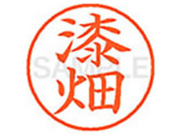 �V���`�n�^ XL-9(����)