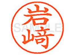 �V���`�n�^ XL-9(������)