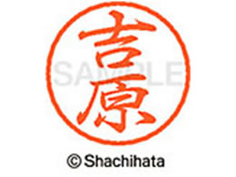 V`n^ ubN8 XL-8(g) XL-8-1979