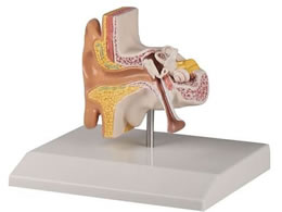 Erler-Zimmer ���͌^ 110�~90�~50mm 7-9823-01