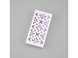 �s�����w �t�^�t�S�~�y�[���p���L�� �N���X�^�����x���_�[�̍��� 8-119-03