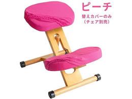 {쏊 v|[V`FApւJo[ s[` CV-8K