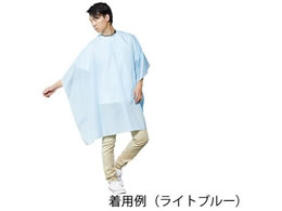 ���z ���C�g�u���[ 8-2544-02