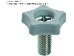 TRUSCO \tc[mu18  M6X15 mu6 10 P=1.0 TT3M6X15-W