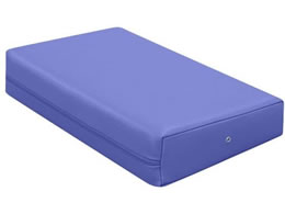 ���c�x�b�h �J���[�}�b�T�[�W�}�N�� ���C�g�u���[ TB-77C-05