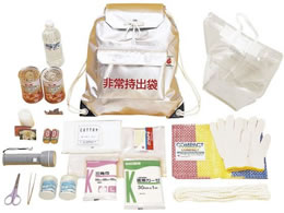 �����s���������H�� ���21�_�Z�b�g �h�Ѓo�b�O 10-5050-00 8801