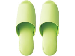 �e���_�C �x�[�V�b�N�X���b�p �O���[�� L 9-1099-02