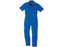 Ka@Ȃ@Cu[@XXOV|QOR