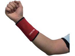 �~�G���[�u �p���t�����X�g�o���h �� NO.WB03-RE