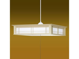 ^LY~ LEDy_g IWi TNGR12537