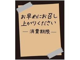 �w�C�R�[ �^�b�N���x�� 30�~25 No.804 �����߂� ���N 120��