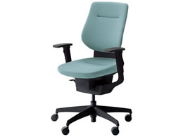 RN CO NbVw^[RCY IL V CRG3213E6G439VN