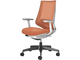 �R�N�� �`�F�A �f���I��2 �u���b�N�r ���b�V�� �\�t�g�e���R�b�^