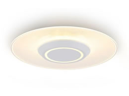 ACXI[} ^V[OCg 1900lm F SCL190D-P