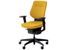 RN CO NbVw IL VLX^[ CRG3213E6G41SVN