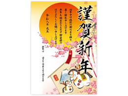 TTK N|X^[ xGn A3 29-5406