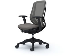 IJ VtB[ I nCobN ~fBAO[ C685XR FMR2