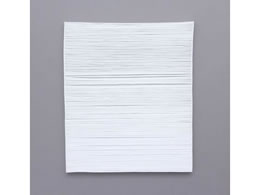 ACXI[} C@ WotB^[ HXF-A25HF