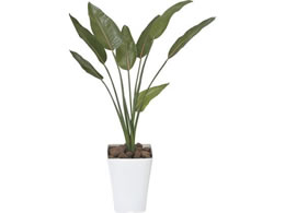 A[gNGCV Xg`A 1.1m 61280020