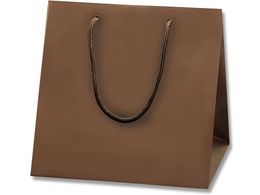 wCR[ 񂰎 uCgobO C2 `RuE MT 10