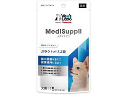 WpybgR~jP[VY MS  KNgIS 15 MSG1