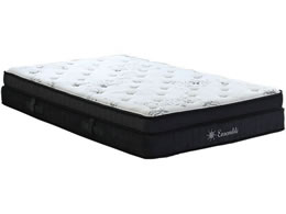 iJoV Ensemble |PbgRC}bgX Z~_u