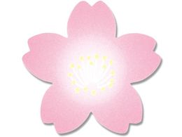 �w�C�R�[ �M�t�g�V�[�� �g�� 60�� 007063865