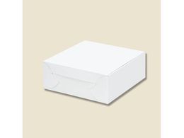 wCR[ nJ[g 4 P[L4p 10 004246804