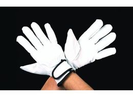 GXR  ؊v M EA353BE-65