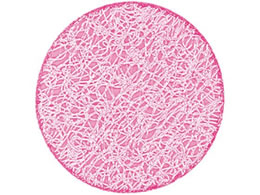 Vr PVC bVR[X^[ #220 sN 8738010