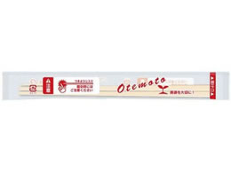 pbNX^C \8 OPP k}t 100V