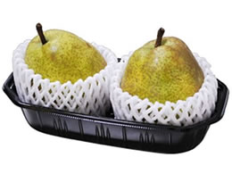 pbNX^C BPt[c 2L  100