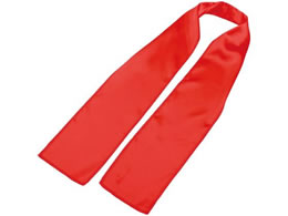 A[ebN \tgTe XJ[t  18857