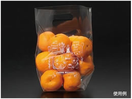 pbNX^C X^hobO No.2B 100