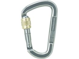 ALPIN D ASYMM�X�e�����X �X�N�����[���b�N ���a14.0 �V���o�[