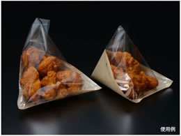 pbNX^C yؑ GReg 170 N 100