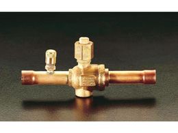 �G�X�R �Ⓚ�@�p�{�[���o���u 3�^4