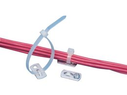 phECbg Œ ^}Eg (1000) MBMS-S10-MY