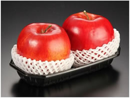 pbNX^C BPt[c 2M }h 100