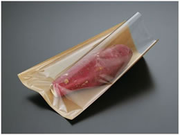 pbNX^C yؑ Ă  ЖʃNA 100