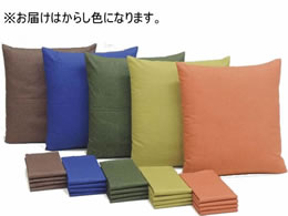 t@~[ECt ȂނzcJo[ 唻 炵 5g