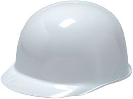 DIC SPA-N�z���C�g SPA-N-PAE-W