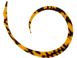 �W���b�J�� �r���r���X�C�b�`T+�l�N�^�C�}�C�N���J�[���[�X���� #�V�}�V�}�I�����W