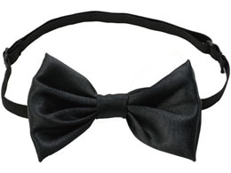 A[ebN \tgTe lN^C  19196