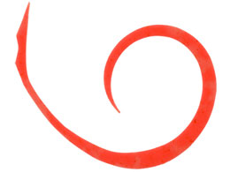 WbJ rrXCb`T+lN^C}CNJ[[X #uCgIW