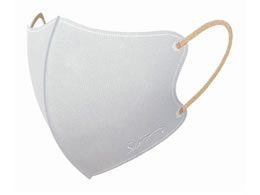  SAI VNtB[}XN ӂ zCg~x[W 20